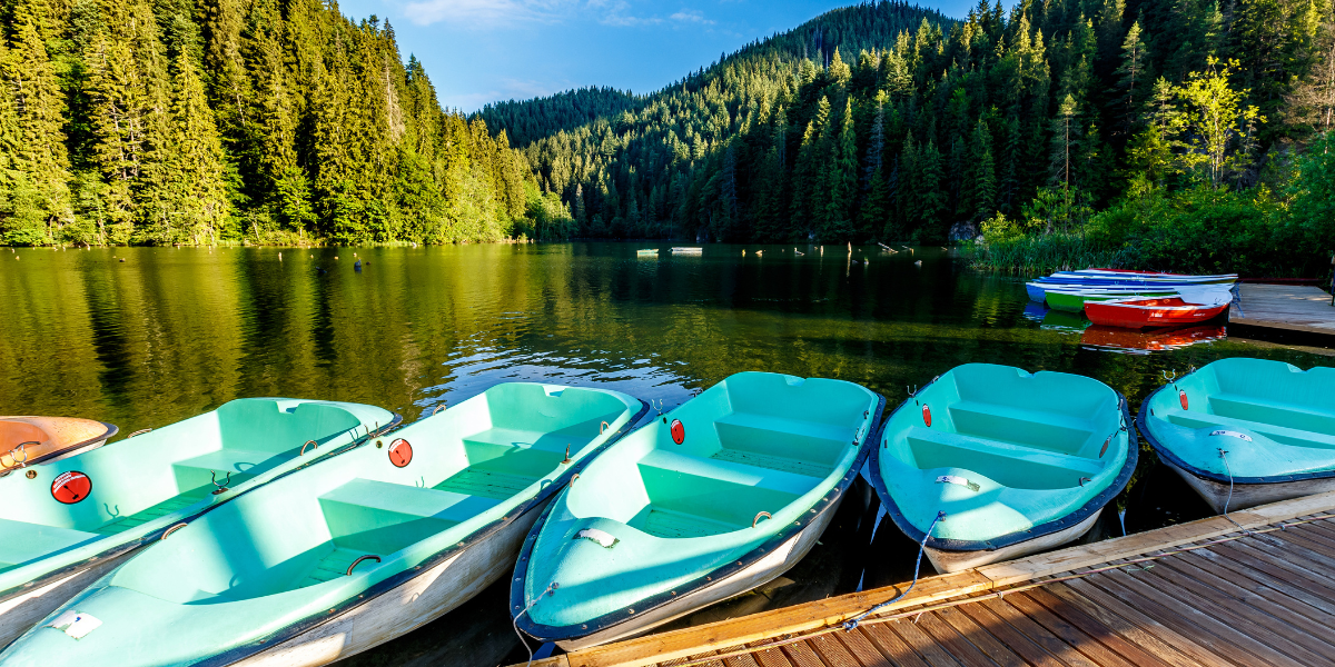 Row of Kayaks