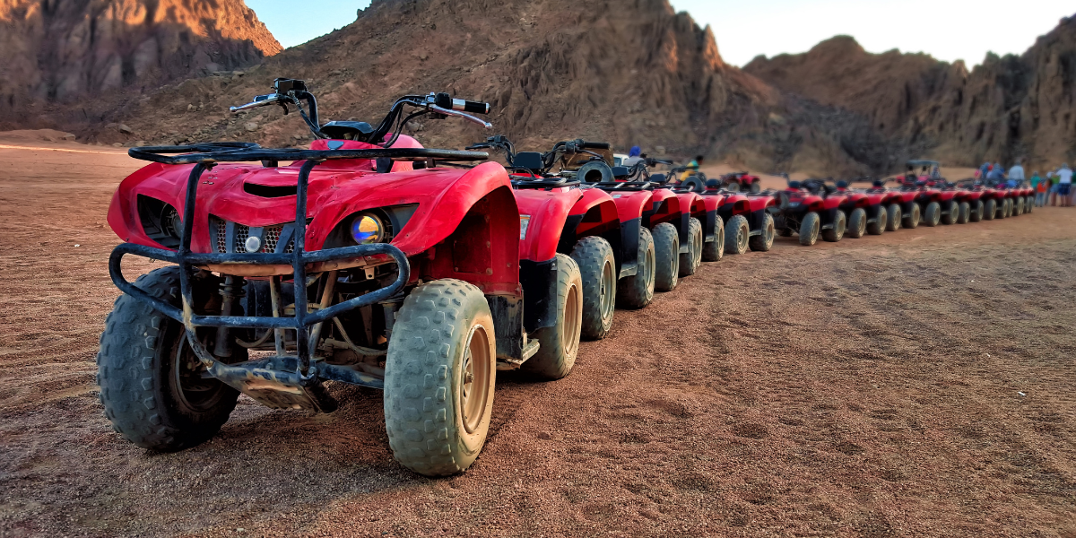 Row of ATVs