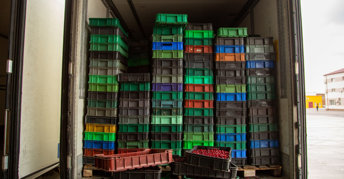 Navigating the Complexities of Cold Storage and Logistics